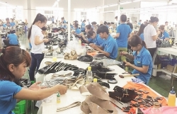 Vietnamese footwear struggles to export into American, Chinese, Japanese markets