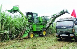 Struggling with ATIGA, sugar industry ready for petition