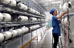 us cotton industry supports vietnamese textile and garment enterprises to improve quality