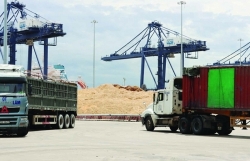 Vung Ang Customs accompanies woodchip exporters to resume operations