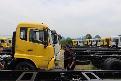 Cao Bang Customs carries out procedures for nearly 10,000 imported cars