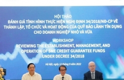 Clarifying shortcomings in the implementation of credit guarantees for SMEs