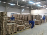 Wood exports exceeds the target, expected at US$ 8 billion
