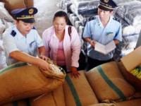 Customs must collect 24 trillion VND in each remaining month