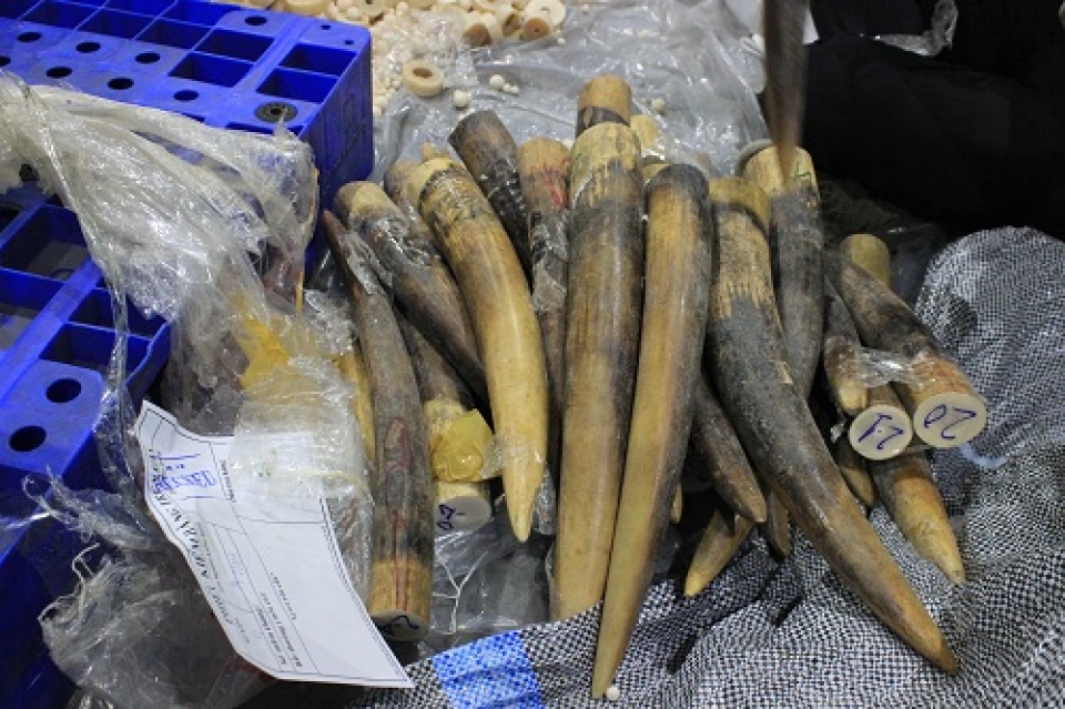arresting nearly 1 ton of ivory ivory products and pangolins scales shipped by air