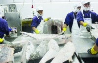 Fishery enterprises are in trouble because of IUU “yellow card"