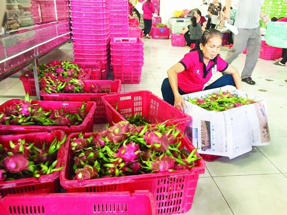 lack of traceability agricultural products struggle with exports to china