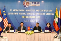 Solidarity and cooperation key for ASEAN to overcome pandemic and restore regional growth: Minister of Finance Dinh Tien Dung