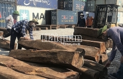 Looking for owner of containers of Senegal rosewood left at port