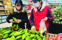 Vietnamese agricultural products struggle to enter supermarkets