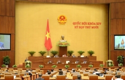vietnam border guard law and residence law revised discussed at national assembly