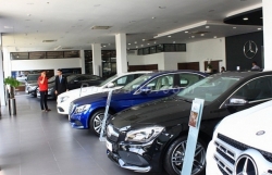 Auto business recovers thanks to the government's stimulus policy