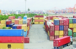 Timely information helps reduce congestion at seaports amid social distancing period