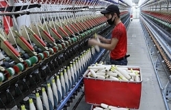 Textile industry sees differing results during pandemic