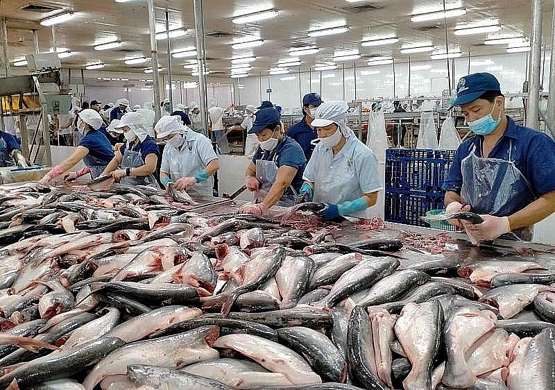 The main product of pangasius pulled seafood export turnover up