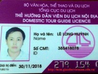 Increasing assessment fee for issuance of domestic tour guide licenses