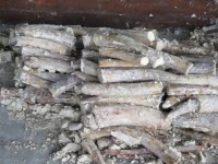 Prosecuting a criminal case of illegal transport of nearly 900 kgs of ivory