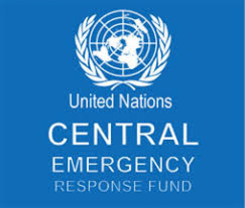 over us 4 million allocated to respond the emergency disaster in viet nam