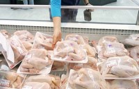 Ministry of Industry and Trade denies that imported chicken caused domestic chicken prices to fall