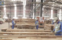 FDI into wood industry increases rapidly: Worries about the “hidden” investments