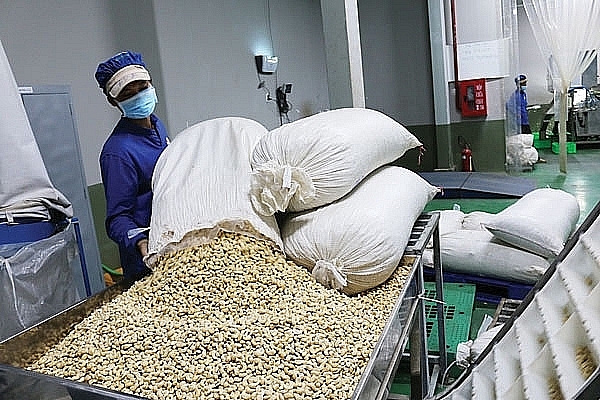 Vietnam's cashew industry expects to get a higher position in the global cashew value chain