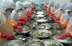 China tightens inspection of transit of imported frozen food
