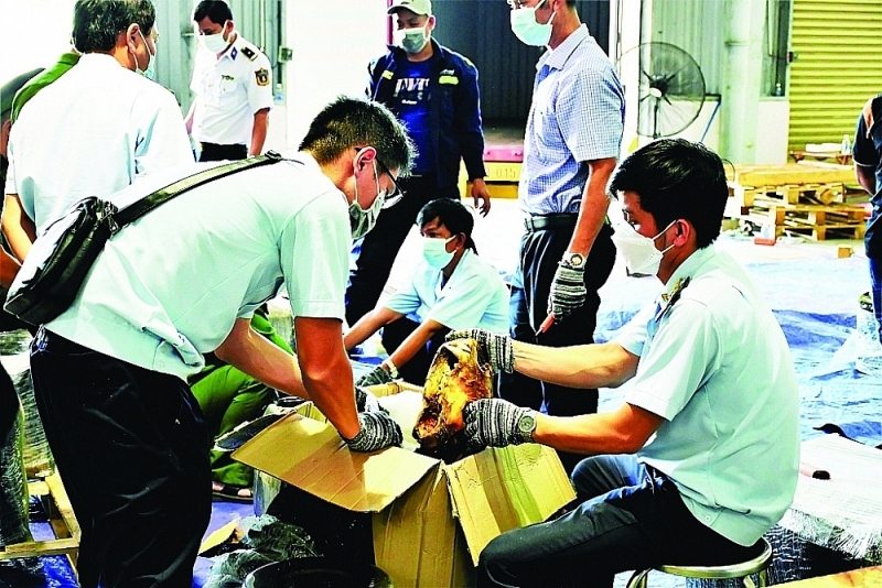 Da Nang Customs Department worked with competent agencies to discover more than 138kg of rhino horn, more than 3.1 tons of animal bones suspected to be bones of animals on the List of wild plants and animals specified in the Appendix of the Convention on International Trade in Endangered Species of Wild Fauna and Flora (July 2021).