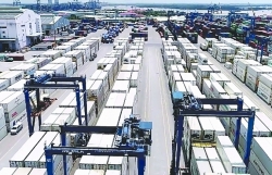 HCM City Customs: Reviewing containers congested at seaports