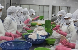 Seafood exports to China maintained at over US$1 billion