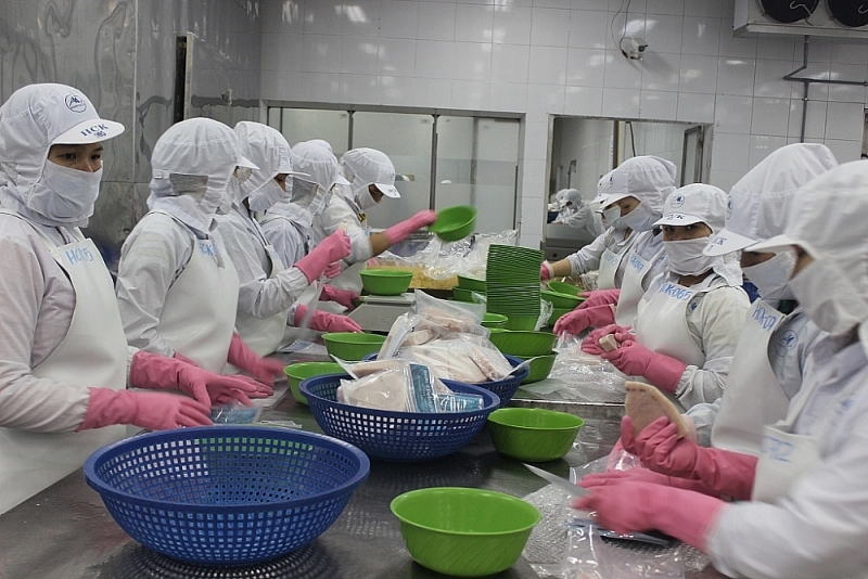 Seafood enterprises wish to be supported in terms of export to China. Photo: T.H