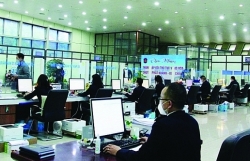 Customs strengthens administrative reform to serve businesses and people