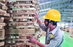 Enterprises exporting laminated timber are "hibernating"