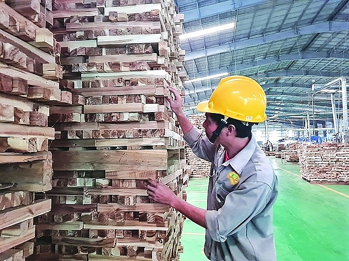 Many timber enterprises are falling into a situation of high inventory, difficult to turn around capital. Photo: N.Thanh