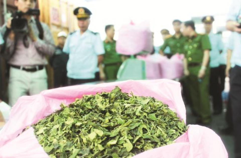 handling of khat leaves waiting for guidance of the ministry of public security