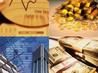 The financial market grew comprehensively in the first eleven months