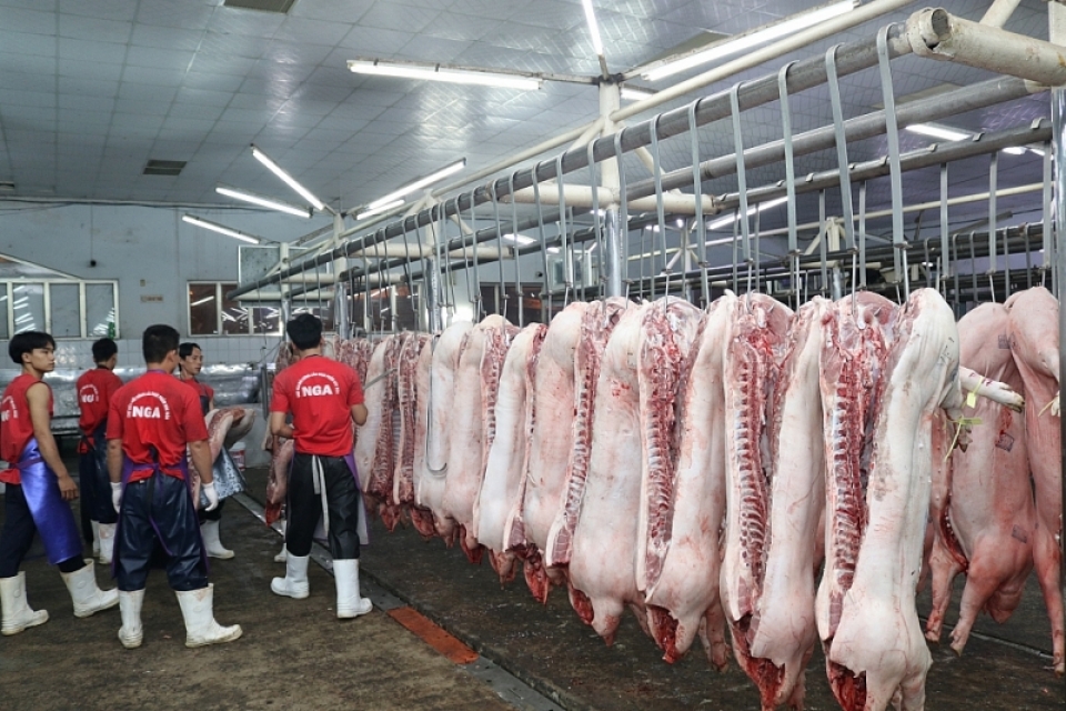 traders hoard goods the pork price sharply increases in all three regions