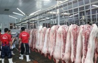 Traders hoard goods, the pork price sharply increases in all three regions
