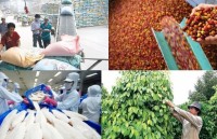 Agricultural exports target US$42 billion