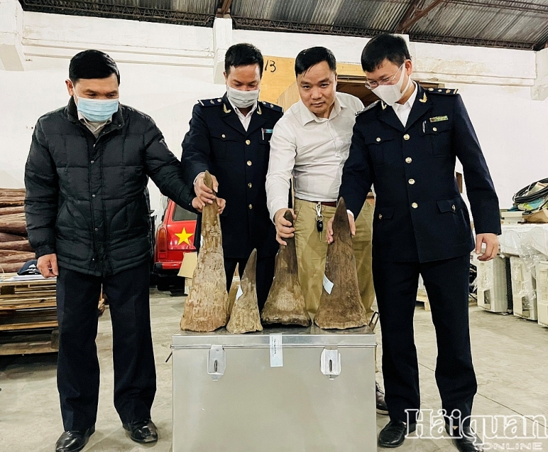 Rhino horns seized by port area 3 Customs Branch in Hai Phong