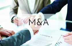 M&A in Vietnam not exclusively for foreign businesses