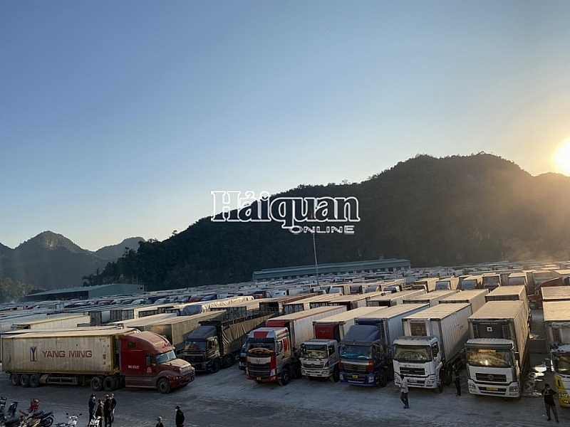 VCN - Customs will create maximum conditions and expedite customs clearance the same day for exported goods in the area, including outside office hours to solve cargo congestion at the Northern border gate.