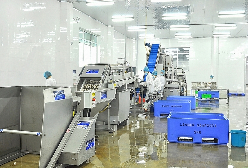 Clam processing and packaging line for export of Lenger Vietnam Seafood Co., Ltd. Photo: K.D