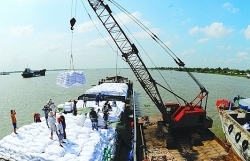 Export prices are high until the end of the year, Vietnamese rice earns $ 3.3 billion positively