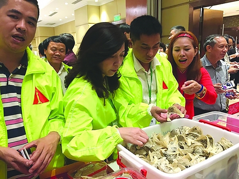 Chinese enterprises learn about Vietnam's bird's nest products. Photo: N.H