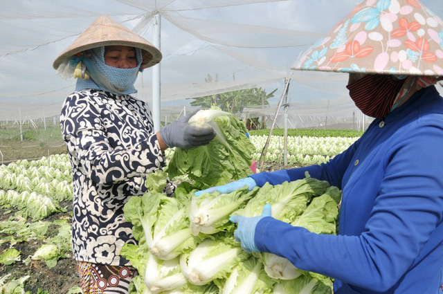 vietnamese retailers set bar higher than national standards to reduce dirty food tuoi tre news