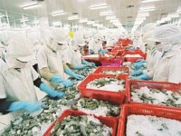 Vietnam capitalizes on FTAs