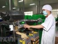 CPTPP brings opportunities, challenges to Vietnam’s agriculture