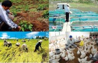 Vietnam’s agriculture continues to grow in 2019