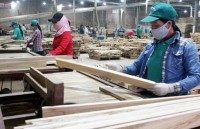 Wood processing industry targets 20 billion USD in export by 2025