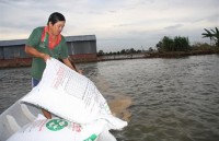 VN cracks down on use of banned substance in fish food